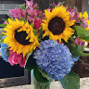 Meet your Posher, Miranda